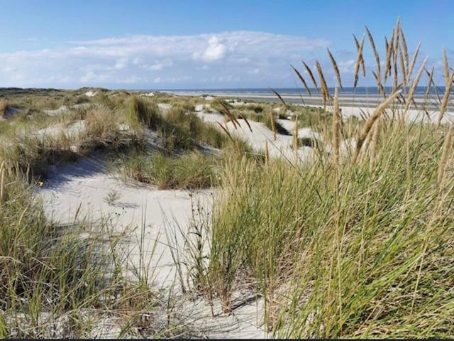 Seeblick Lachmöwe, exklusive Lage in Strandnähe Wangerooge Exterior foto